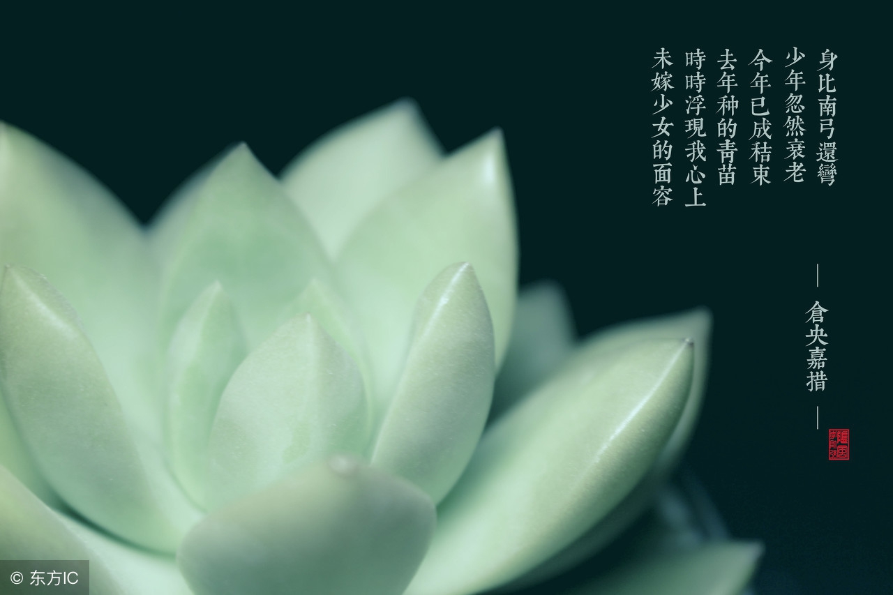 15227325160331f90a3f6f8