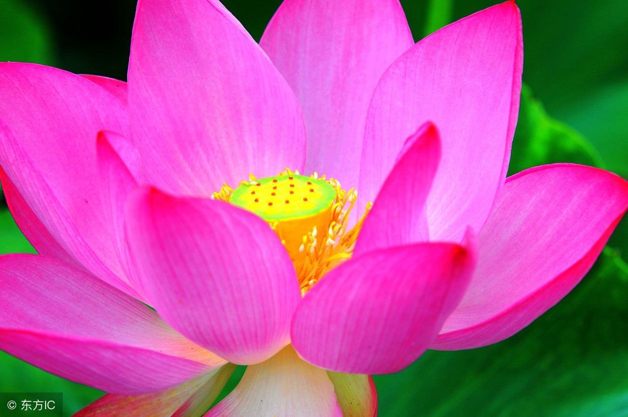 15227325835701bbb6ffc47