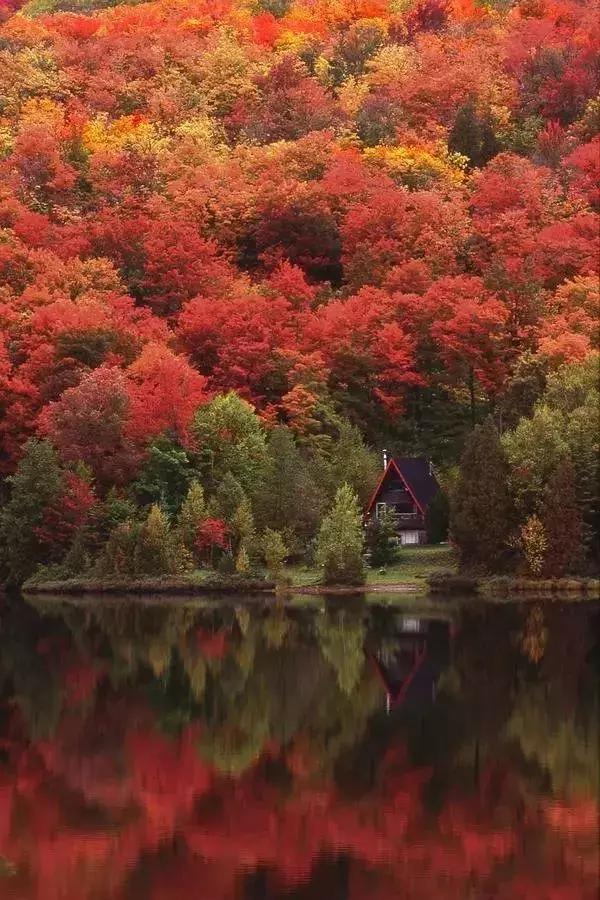 庄子：给你4个不生气的智慧
