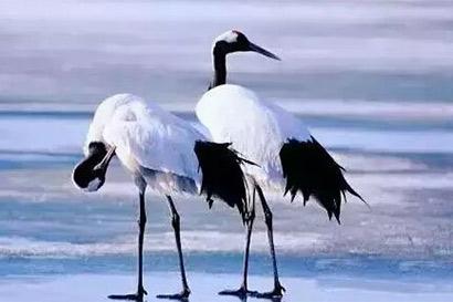 66c900032bfaef23d71e