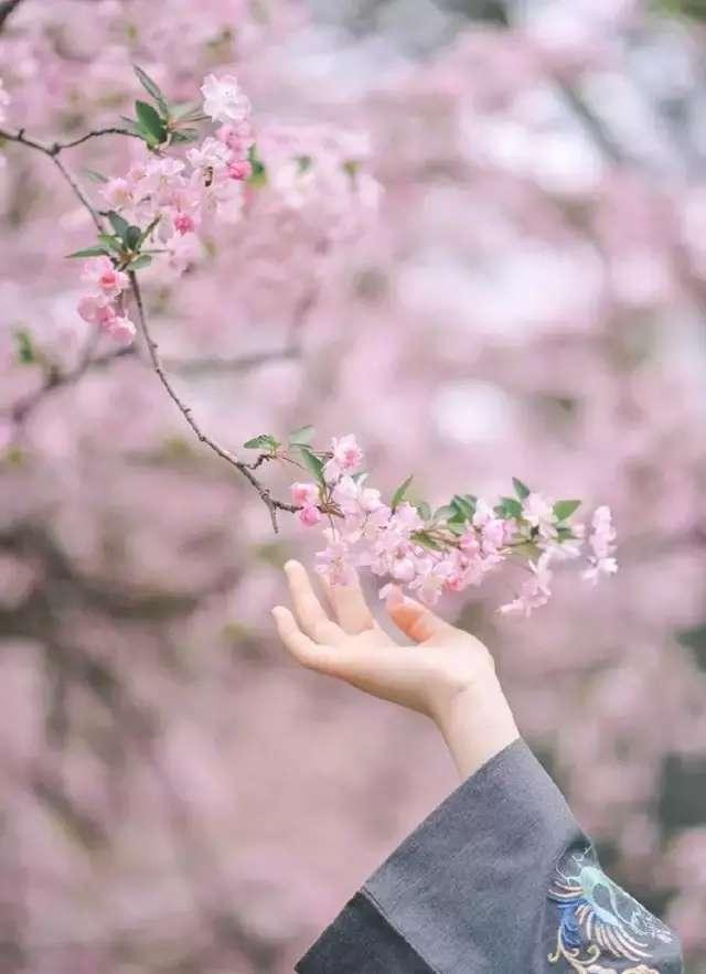 39a70003eefbf676c677