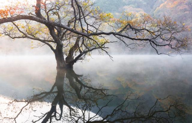 李叔同32句：念念不忘，必有回响