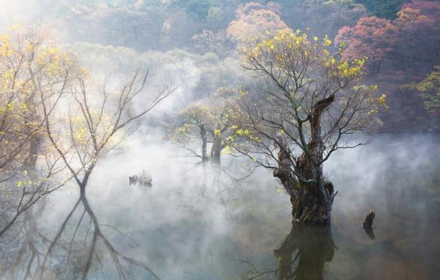 李叔同32句：念念不忘，必有回响