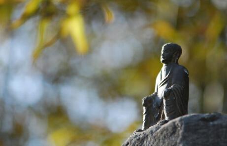 32260001882888547014