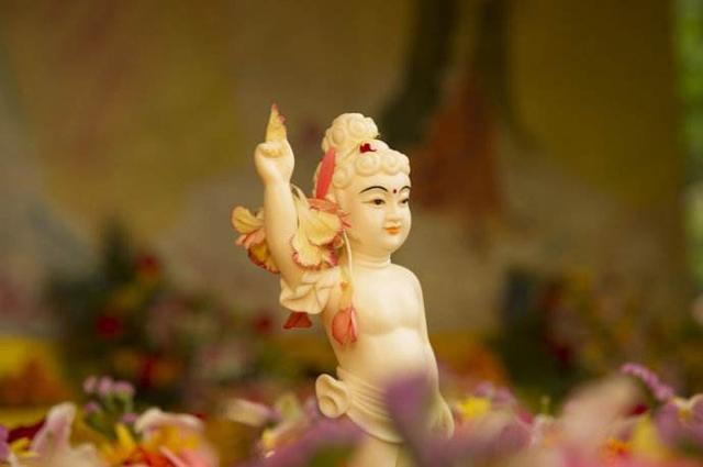 36440007fe68c051c3c6