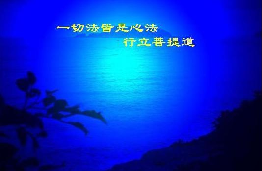 2ecd00013c5ae97f6af8