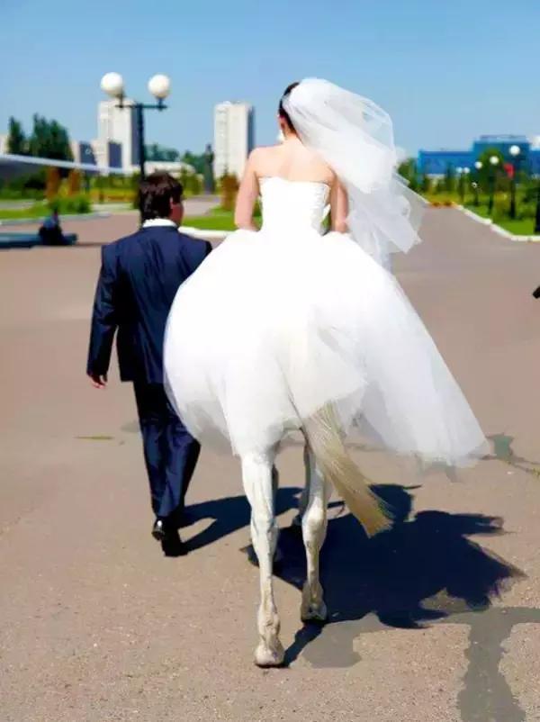 15402869982605da53c7c32