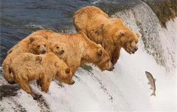 154028699978793962fe42f