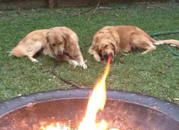 15271447878302ba870883c