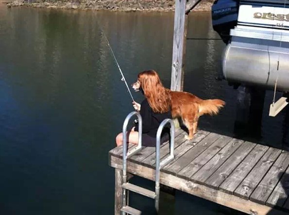 152714478799360d712bcbb