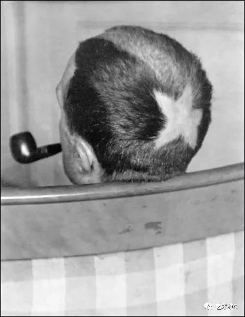 320600032010d442bfb3