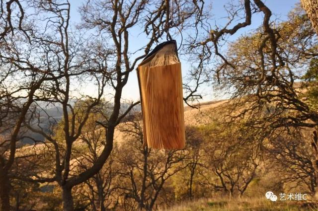 321300003d820ca629f5