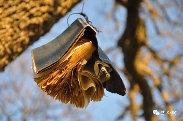 32060003201960e202b4