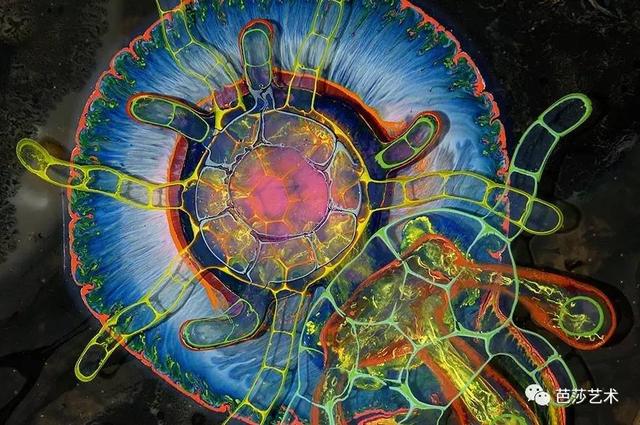 15ff001084888a6b3270