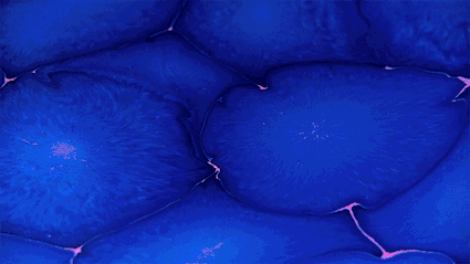 15ff0010848724b8a9b3