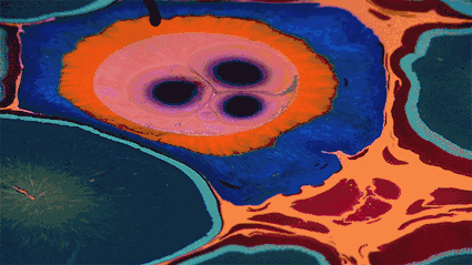 15fe000cbe832c24da02