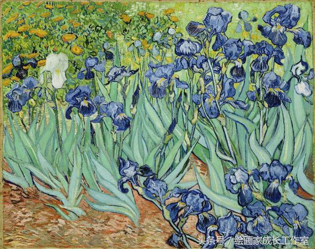 31df0002d7ead3afab47