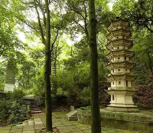 26ef00046b70296e6c46