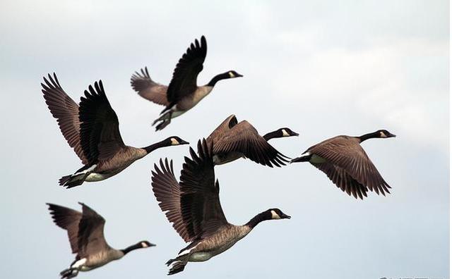 1dc40006bb07c3efaac9