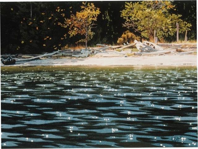 1521863039441e16e607462