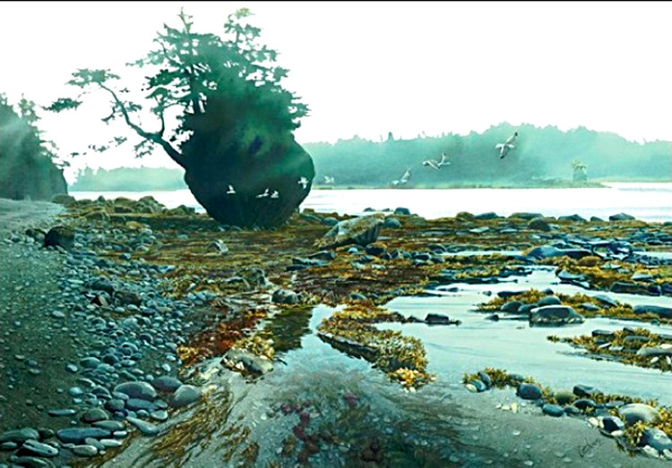 15218630414662d595f3298