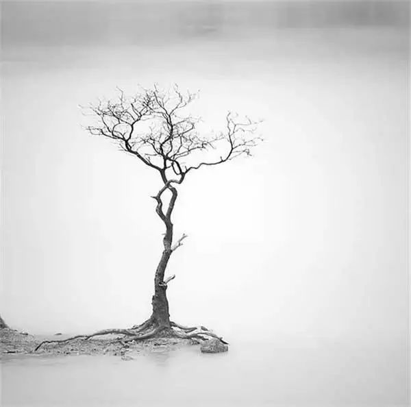 152170067142195af96228f