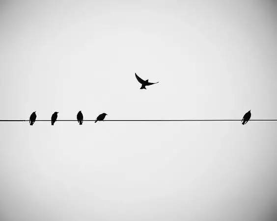 152170067150463f7acdd33