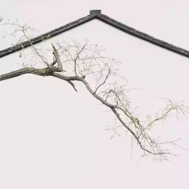 1521700671897b695ca884a