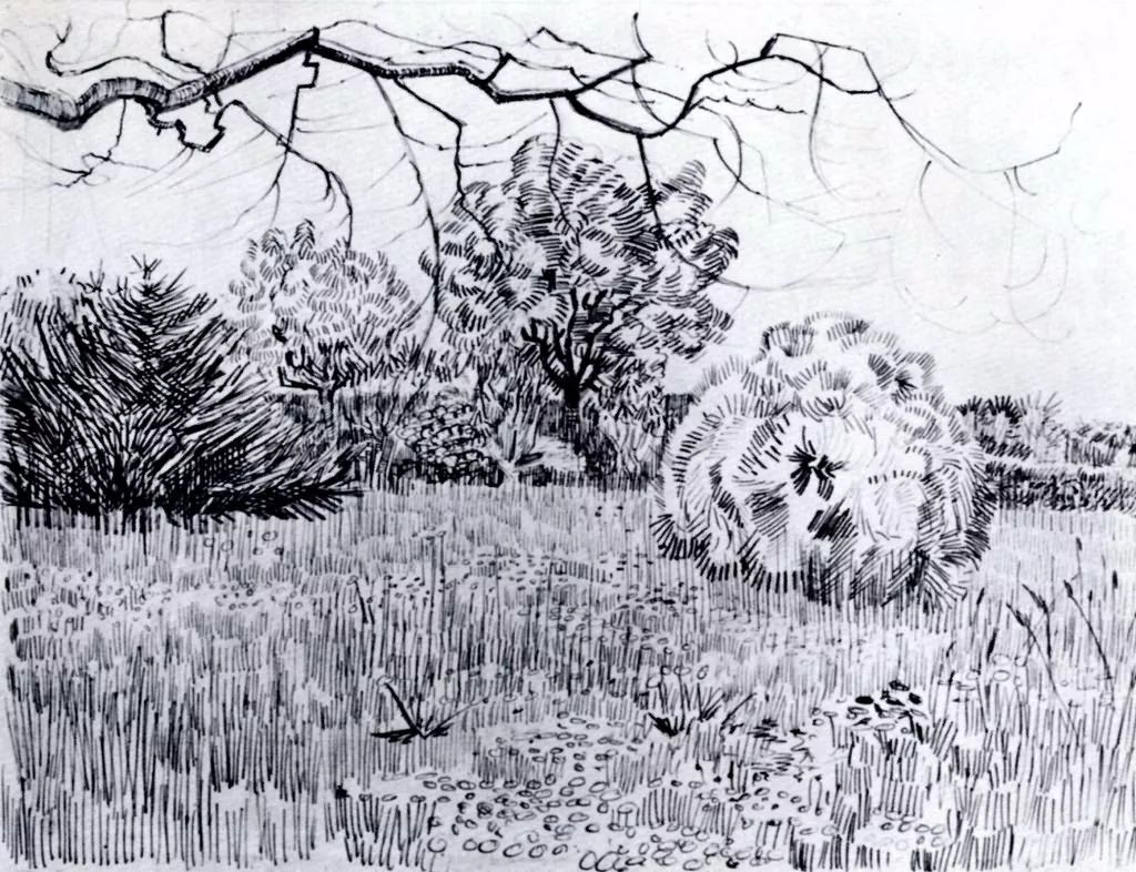 1521599684969dbb420b0de