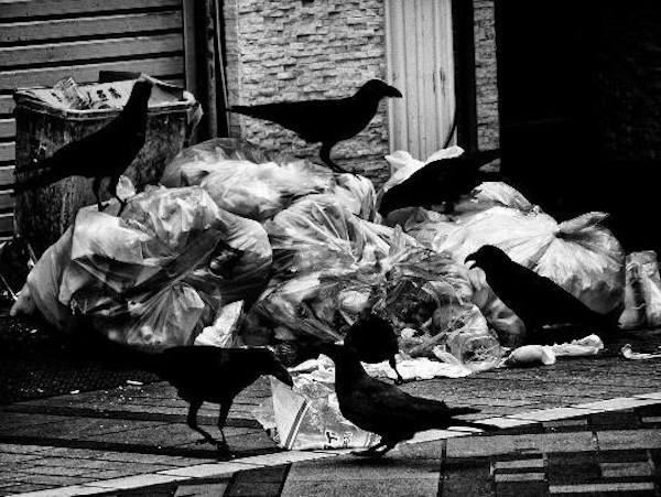 80a300085b6246bc6f1a