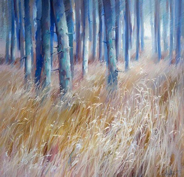 53e30004af4bed27e547