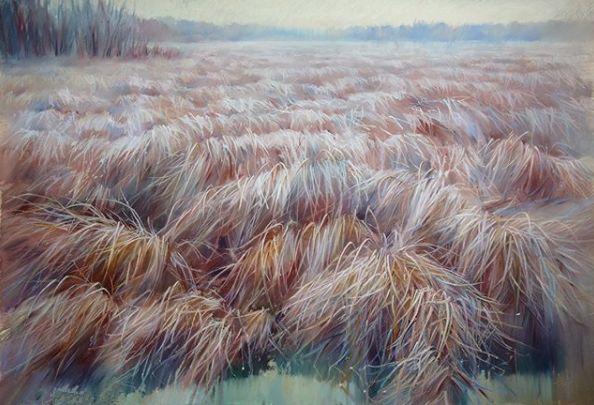 53e30004af4afe54cf99