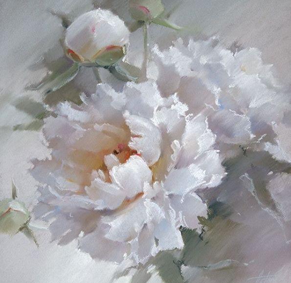 50ac00051a66fb1412d0