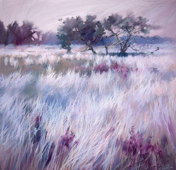 53e30004af5025fd2775