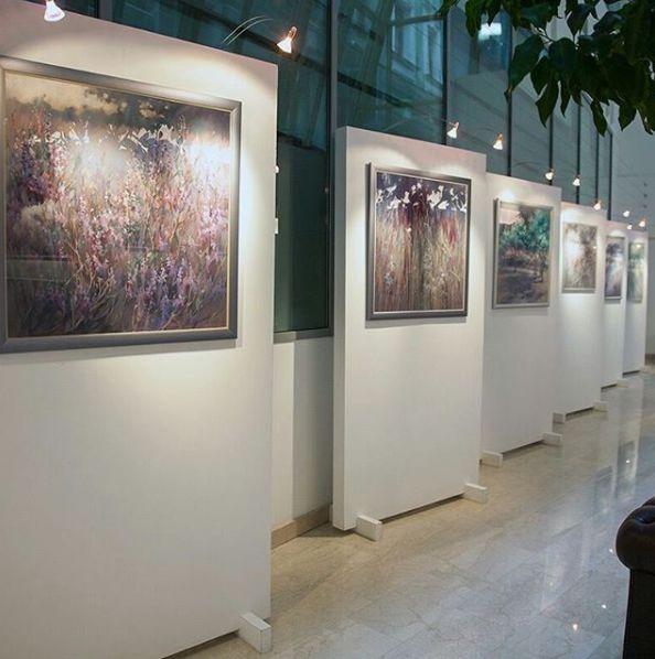 50ae00052896231a48ba