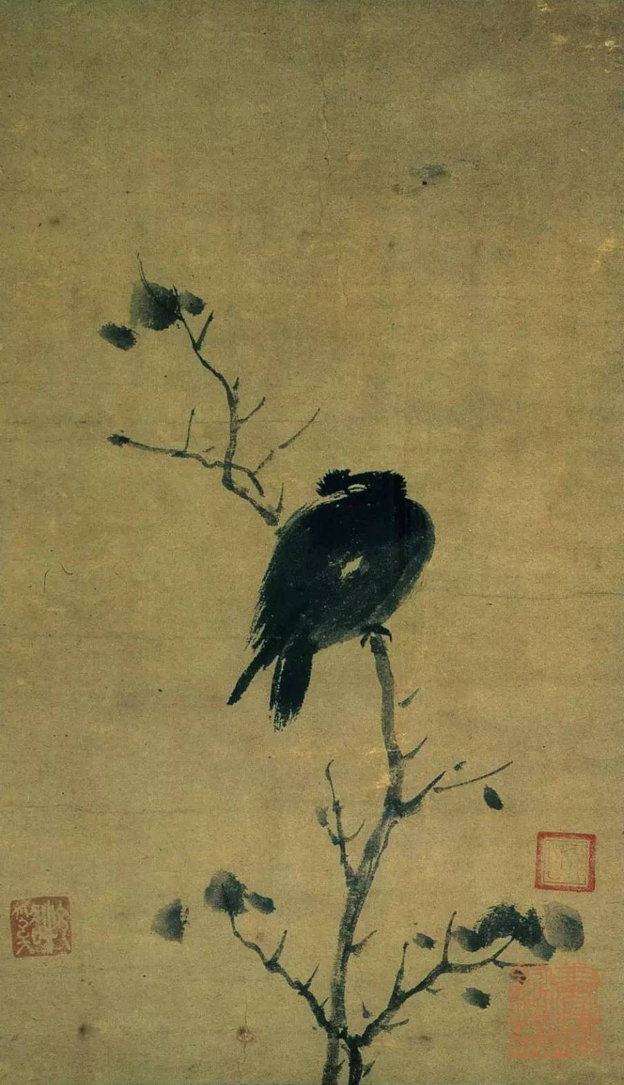 1525643769965770e68fb1d