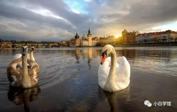 1521338640314c0ac300737