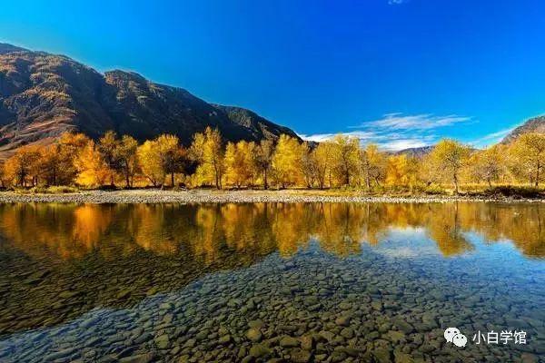 1521338640392b2576ccb12