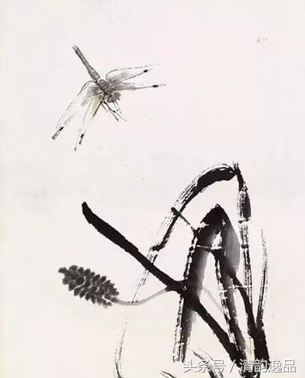 15273243264645070d2934b