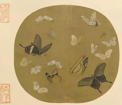 66bb0004da70fba2d8c9