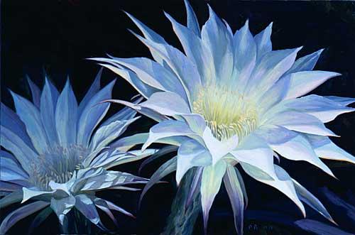 5e6f0000968024b31fb2