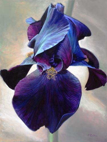 5b5c000233ee6d53331b