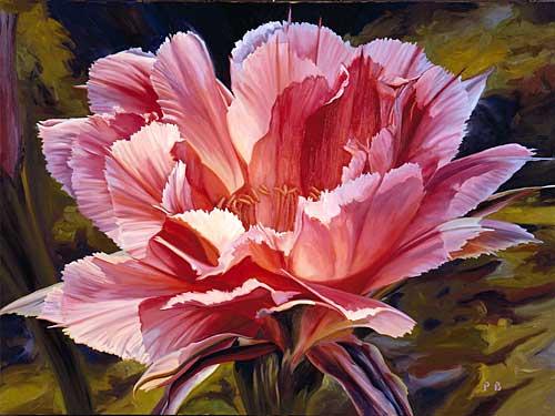 5e6f0000967d6259e7e9