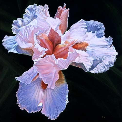 5e6f0000967fc5dc7958