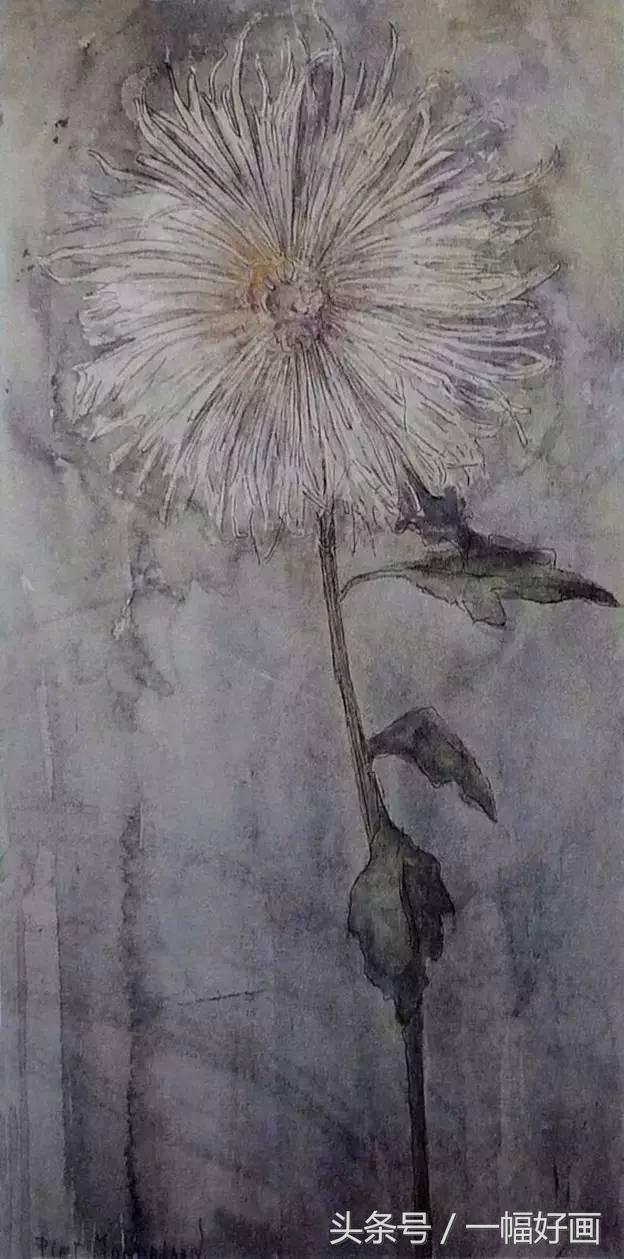 1526533396188c79fee562e