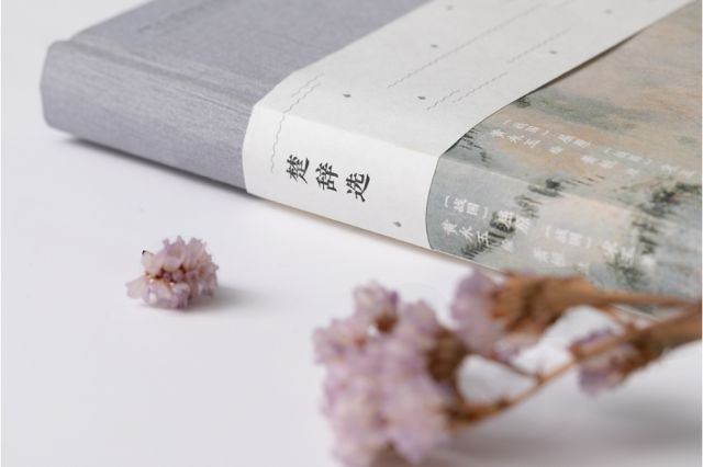 15293009595180995060dd5