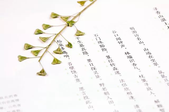 15293009608733c20a3aec8