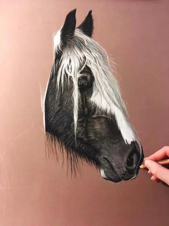 1526542420397eafcc1ce76