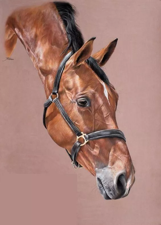 15265424206869bb9964b8d