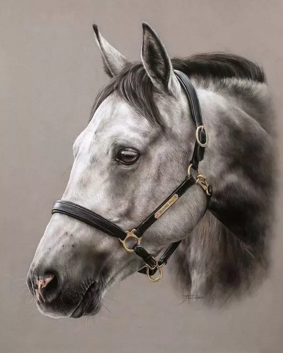 15265424211601d82c5eceb